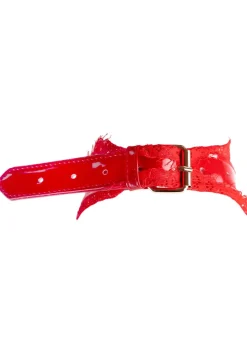 High Gloss PU & Lace Bondage Collar