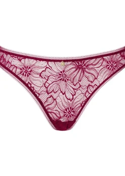 Knickerbox Alice Lace Brazilian Knickers - Dark Red