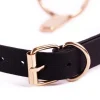 Signature O Ring Gag