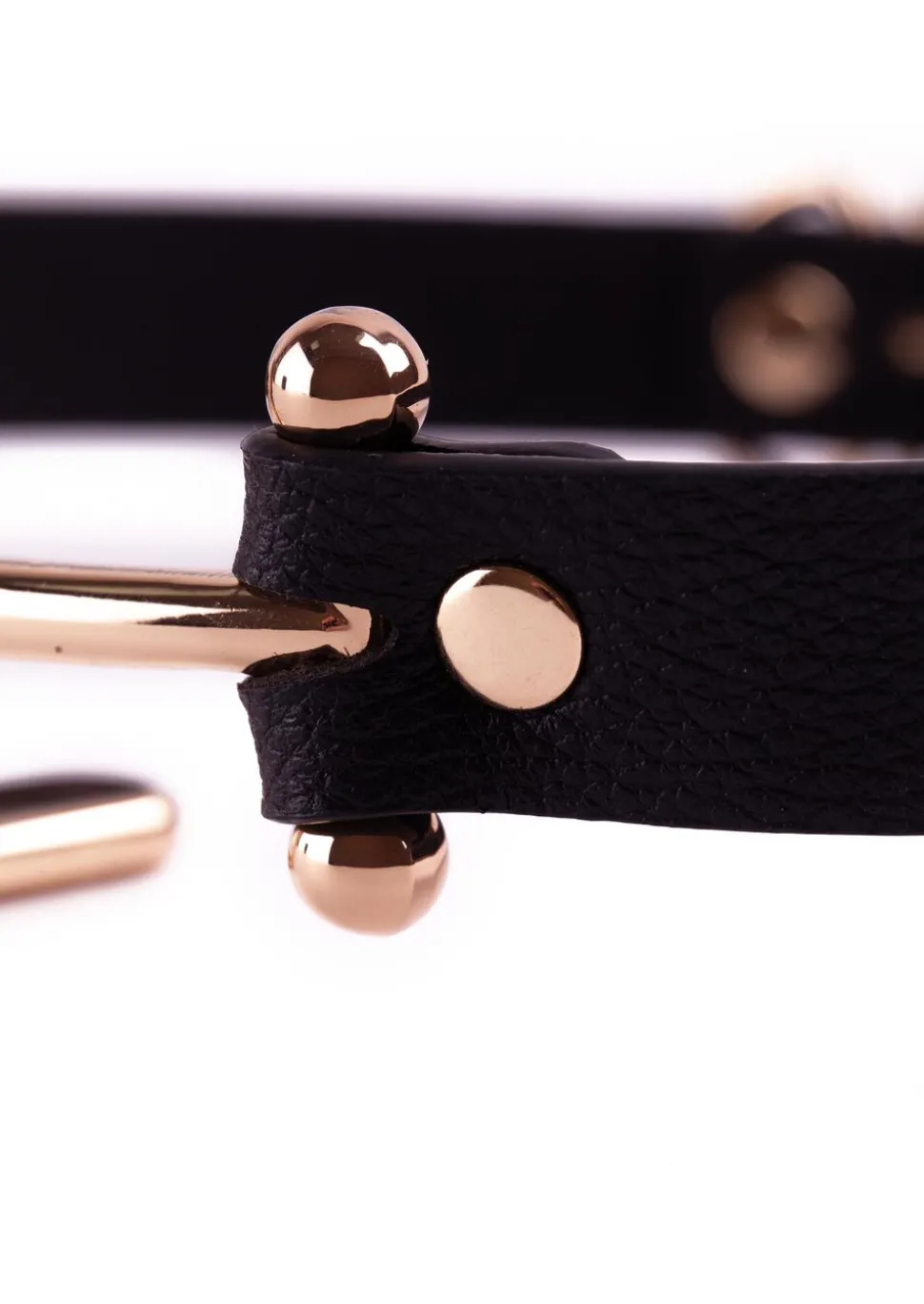 Signature O Ring Gag